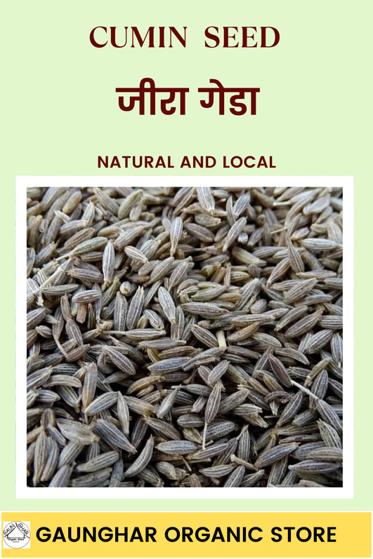 Jeera Geda (Cumin) 500gm